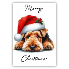 Welsh Terrier Christmas Dog