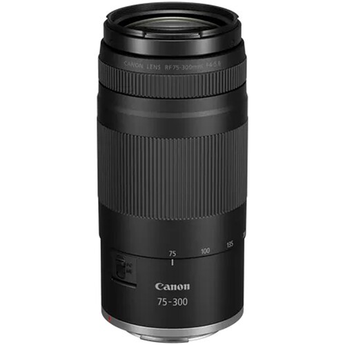 Canon 300mm 5 6 lens - canon, f4-5.6
