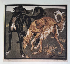 SALUKI ARABIAN PERSIAN HOUNDS