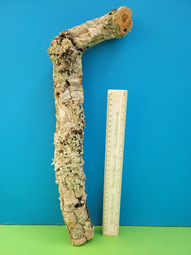 Cork bark branch 46cm snake - bark,