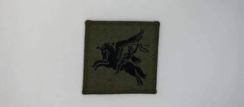 Parachute regiment pegasus - regiment,