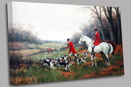 Fox hunting calling the - fox, up