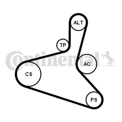 6dpk1195k1 continental ctam - continental,