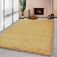 Thick Large Shaggy Rugs Non