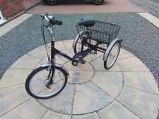 Pashley Picador Adult Tricycle in lovely condition