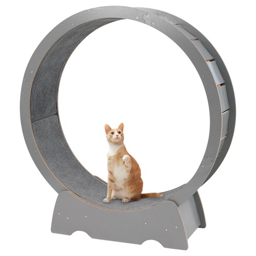 Wooden cat exercise - cat,