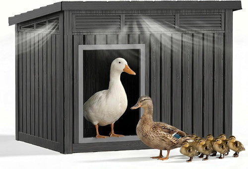 Vixzen outdoor duck chicken - vixzen,