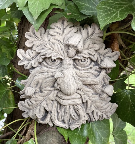 Stone garden mushroom - garden, nose