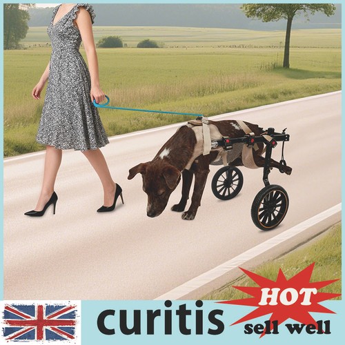 Large dog wheelchair rear leg - rear,