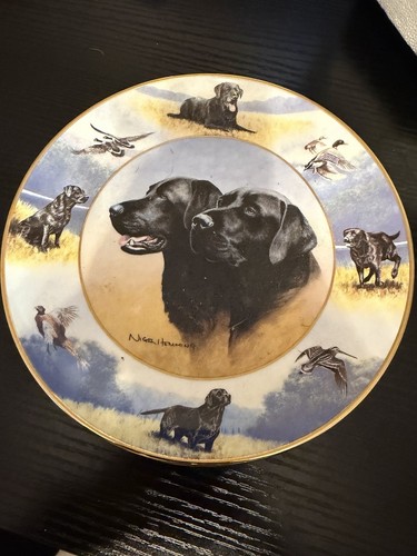 Labrador retriever plate the - plate,