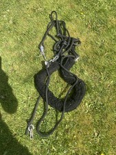 Pessoa style lunging - lunging, aid