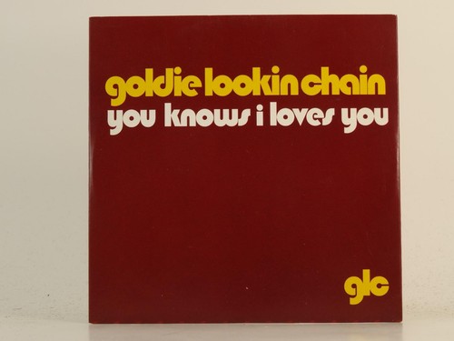 Goldie lookin chain you knows - chain,