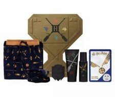 Harry Potter Quidditch