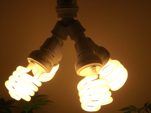 400 watt cfl grow light - grow, kit/