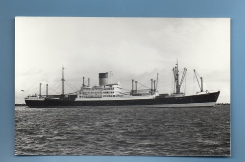 Stentor blue funnel line - funnel, line.cargo