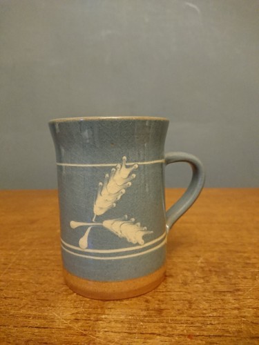 Mug james brooke - appleton, le