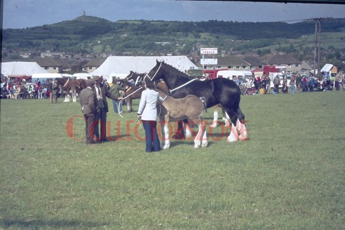 35mm slide 1978 - 1978, emley