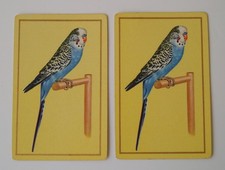 2 Vtg Parakeet Budgie Bird