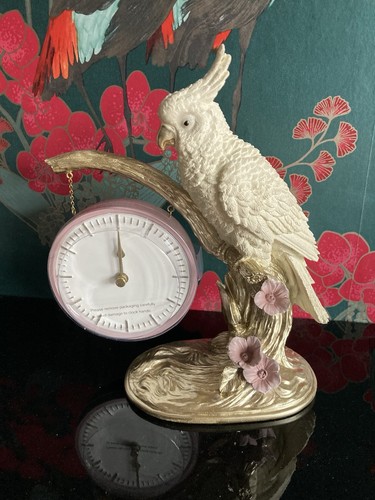 Next home white - white, bird