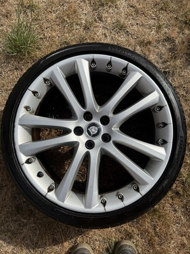 Genuine jaguar senta - genuine,