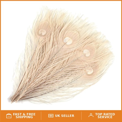 Soft lightweight peacock - &,