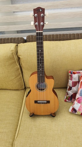 Lani accoustic acoustic - accoustic,