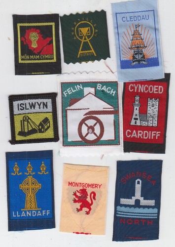Boy scout badges from wales - scout, x