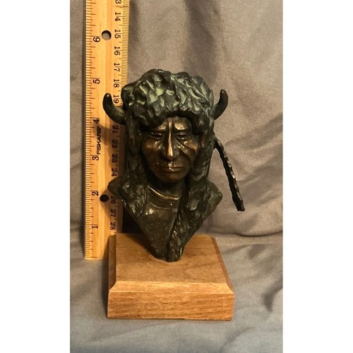 Native american buffalo - native,