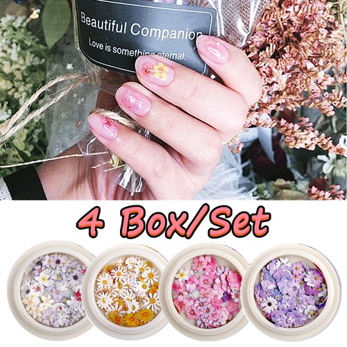Box dried dry - box,