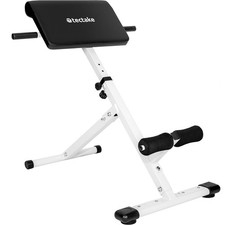 Weights Bench Workout Exercise