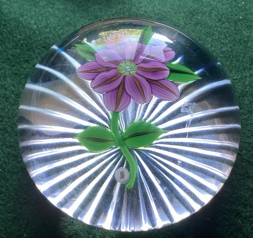 William manson purple flower - manson,