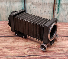 Miranda Focabell S Macro Close