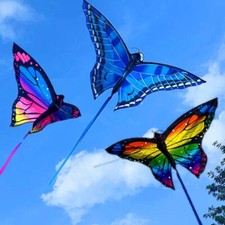 Steering Colorful Butterfly