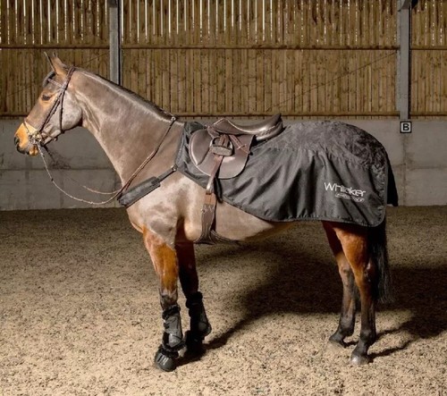 John whitaker sydney exercise - john,