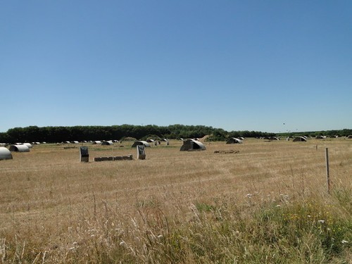 Photo 12x8 empty pig arks - empty, on