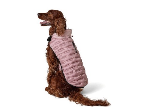 Peaks shower resistant dog - peaks,