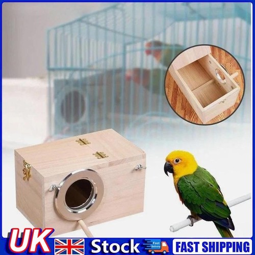 Bird nest nesting house - nest,