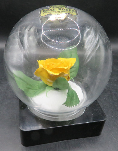 Lifesake flowers real roses - lifesake,