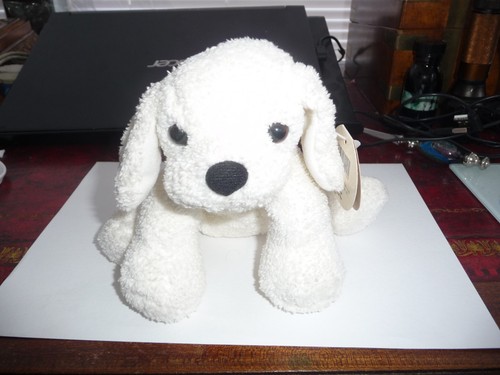 Bichon frise plush - frise, soft