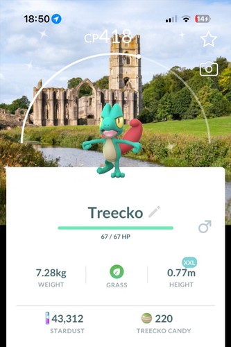 Shiny treecko xxl - ✨🔥,