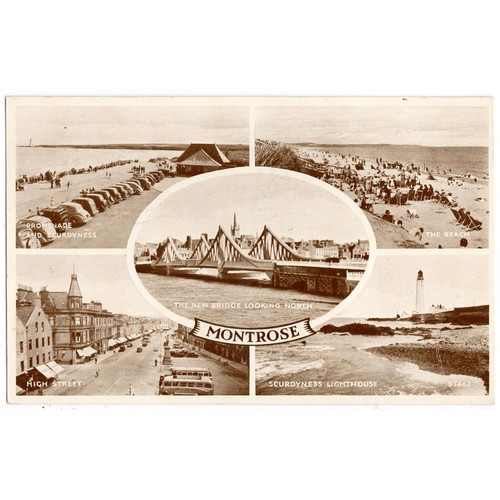 Montrose angus multi view - montrose,