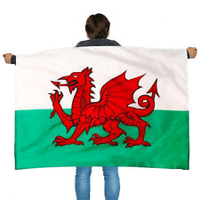 WALES FANCY DRESS FLAG CAPE ST