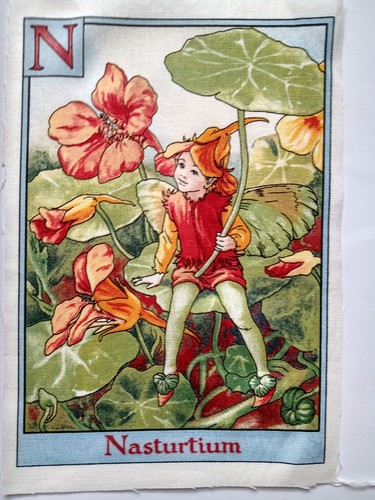 Nasturtium alphabet - -,