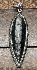 Orthoceras fossil pendant - orthoceras,