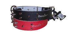 Leather Spiked Studded Dog