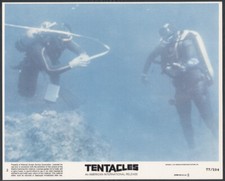 SCUBA DIVING DIVERS UNDERWATER