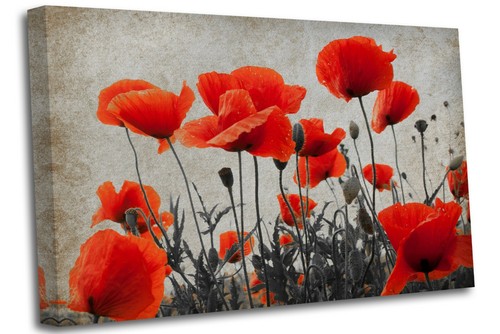 Vintage sepia poppy field - vintage,