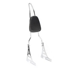 Rear Sissy Bar Passenger