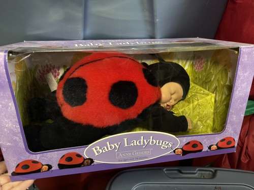 Anne geddes baby ladybug plush - geddes,