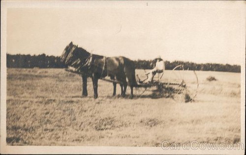 Farming horse drawn - farming,